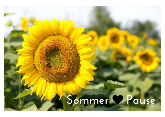 Sommer